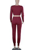 Colorful Blue Casual Solid Patchwork Zipper V Neck Long Sleeve Two Pieces