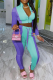 Light Blue Sportswear Print Patchwork Zipper Collar Long Sleeve Two Pieces