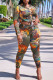Green Casual Print Patchwork Buckle Knotted Turndown Collar Long Sleeve Two Pieces
