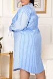 Blue Casual Striped Print Patchwork Buckle Turndown Collar Shirt Dress Dresses
