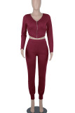 Colorful Blue Casual Solid Patchwork Zipper V Neck Long Sleeve Two Pieces