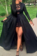 Black Sexy Solid Lace Half A Turtleneck Long Sleeve Two Pieces