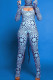 Blue Sexy Print Patchwork Turtleneck Long Sleeve Two Pieces