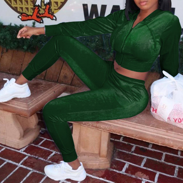 Ink Green Fashion Casual Solid Hooded Collar Long Sleeve Two Pieces