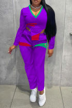 Purple Casual Solid Slit V Neck Long Sleeve Two Pieces