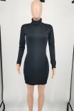 Black Fashion Casual Solid Basic Turtleneck Long Sleeve Dresses