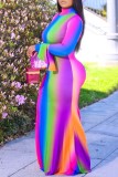 Rainbow Color Fashion Casual Plus Size Print Basic Turtleneck Long Sleeve Dresses