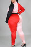 Red Casual Solid Patchwork Contrast Turndown Collar Long Sleeve Two Pieces