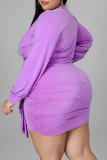 Light Purple Sexy Solid Split Joint Flounce Fold V Neck Long Sleeve Plus Size Dresses