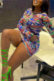 Colour Fashion Casual Print Basic O Neck Long Sleeve Dresses pre-sale