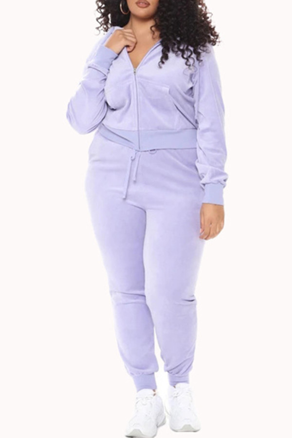 Purple Fashion Casual Solid Basic Hooded Collar Long Sleeve Two Pieces