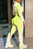 Green Casual Gradual Change Striped Print Patchwork Zipper Collar Long Sleeve Two Pieces