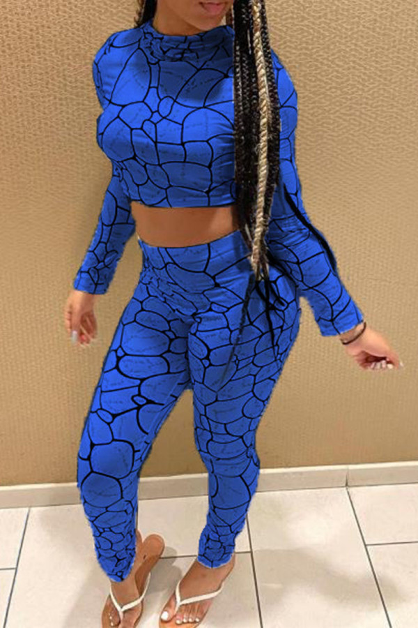 Blue Casual Print Patchwork O Neck Long Sleeve Two Pieces