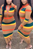 Khaki Fashion Casual Striped Print Basic Zipper Collar Long Sleeve Dress
