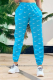 Blue Casual Print Patchwork Regular Mid Waist Harlan Full Print Bottoms