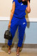 Blue Fashion Casual Print Basic Turtleneck Sleeveless Two Pieces