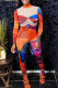 Colour Sexy Print Patchwork See-through Mesh Half A Turtleneck Regular Jumpsuits