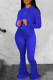 Peacock Blue Fashion Casual Solid Basic Hooded Collar Long Sleeve Two Pieces