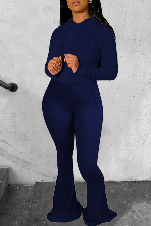 Tibetan Blue Fashion Casual Solid Basic Hooded Collar Long Sleeve Two Pieces