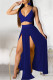 Blue Fashion Sexy Solid Patchwork Backless Spaghetti Strap Sleeveless Two Pieces