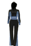 Blue Casual Solid Patchwork Hooded Collar Long Sleeve Two Pieces