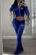 Blue Fashion Casual Letter Embroidery Basic Zipper Collar Two Pieces