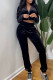 Black Fashion Casual Solid Zipper Hooded Collar Long Sleeve Two Pieces