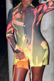 Multicolor Casual Print Patchwork Turndown Collar Shirt Dress Dresses