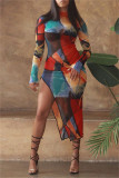 Colour Fashion Sexy Print Asymmetrical Half A Turtleneck Long Sleeve Dresses