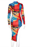 Colour Fashion Sexy Print Asymmetrical Half A Turtleneck Long Sleeve Dresses