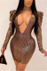 Brown Fashion Sexy Regular Sleeve Long Sleeve V Neck A Line Mini Solid Dresses