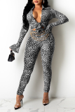 Leopard Print Sexy Animal Print Patchwork Long Sleeve Two Pieces