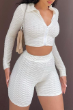 White Casual Solid Patchwork Turndown Collar Long Sleeve Two Pieces