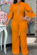 Orange Fashion Casual Solid Patchwork See-through Half A Turtleneck Regular Jumpsuits