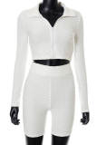 White Casual Solid Patchwork Turndown Collar Long Sleeve Two Pieces