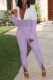 Light Purple Casual Work Solid Patchwork Slit Turn-back Collar Long Sleeve Two Pieces