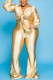 Gold Fashion Solid V Neck Long Sleeve Two Pieces