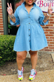 Light Blue Casual Solid Patchwork Turndown Collar Cake Skirt Dresses