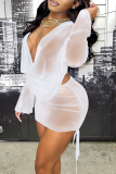 Blue Sexy Solid Mesh V Neck Long Sleeve Two Pieces