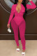 Rose Red Fashion Sexy Solid Patchwork See-through Zipper Collar Long Sleeve Two Pieces