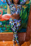 Multicolor Fashion Casual Print Basic Turndown Collar Long Sleeve Two Pieces