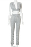 Grey Sexy Casual Solid Vests Pants V Neck Sleeveless Two Pieces