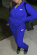 Blue Fashion Casual Solid Embroidered Zipper Hooded Collar Long Sleeve Two Pieces