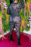 Black Sexy Solid Patchwork See-through Zipper Collar Long Sleeve Two Pieces