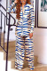White Pre-sale Fashion Casual Print Basic Long Sleeve Two Pieces