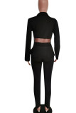 Black Casual Solid Patchwork See-through Turn-back Collar Long Sleeve Two Pieces