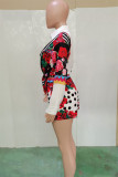 Multicolor Fashion Casual Print Basic Turndown Collar Long Sleeve Two Pieces