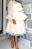 Apricot Casual Solid Flounce O Neck Cake Skirt Dresses