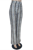 Leopard Print Fashion Casual Print Basic Regular High Waist Trousers