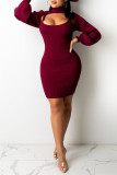 Burgundy Sexy Casual Solid Hollowed Out Turtleneck Long Sleeve Two Pieces